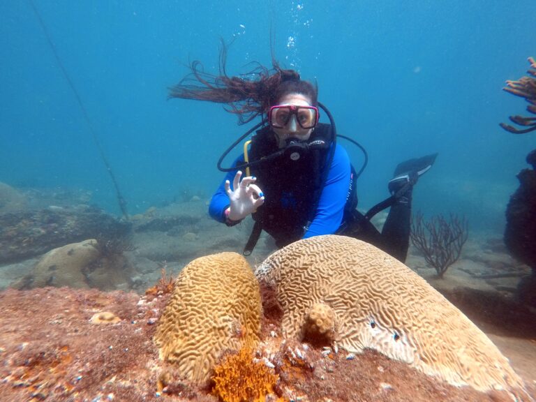 Buceadora hace la señal de OK sobre un coral cerebro