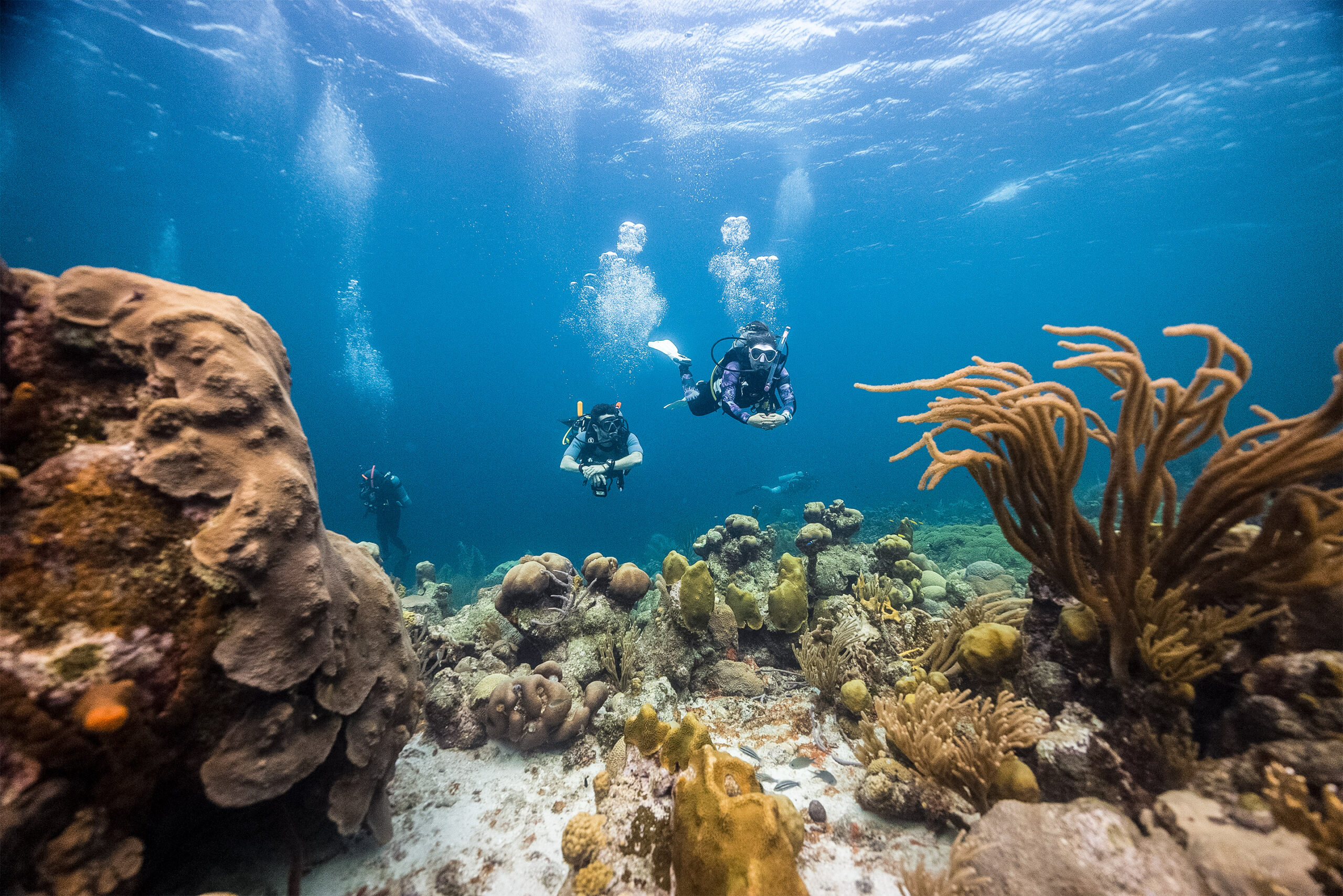 Minicurso de buceo en Taganga