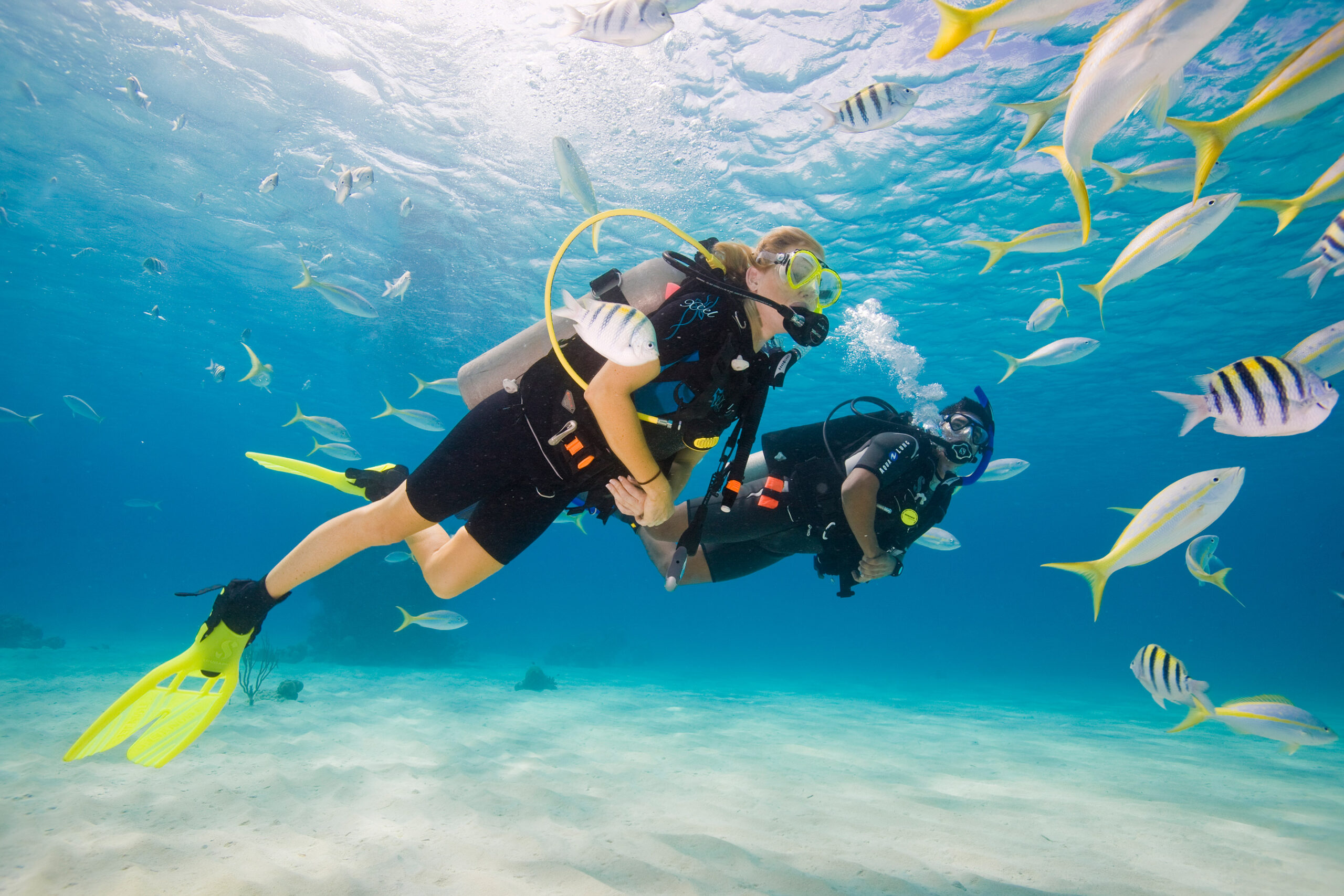 Curso de Aguas Abiertas Padi