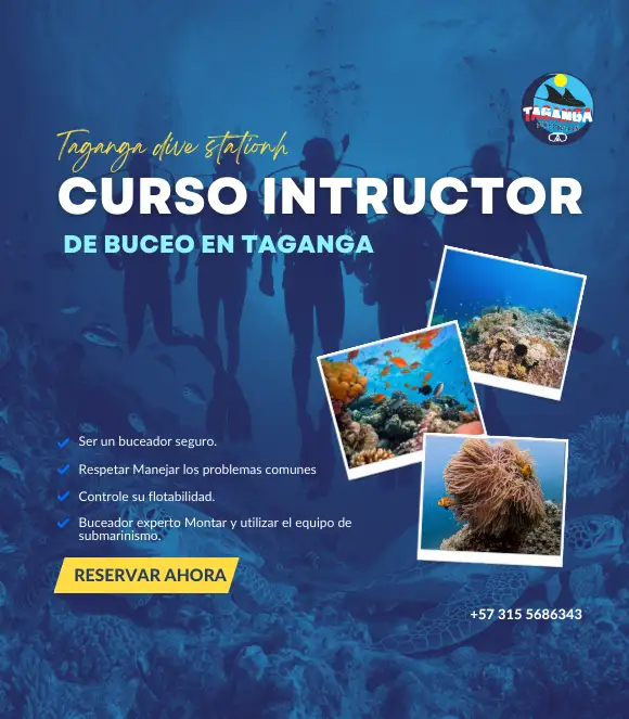 curso de intructor de buceo