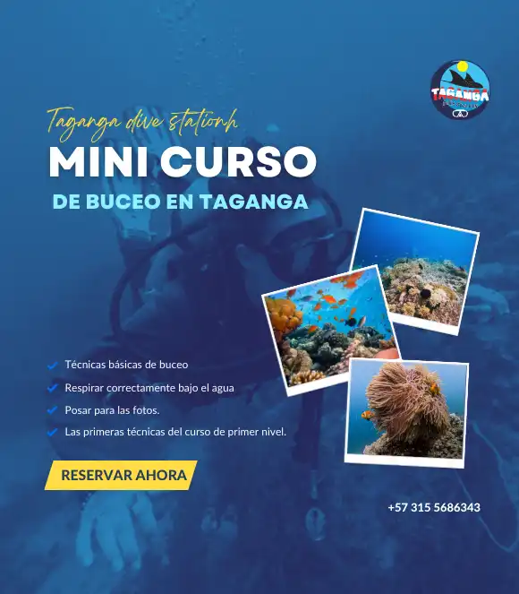 mini curso de buceo en taganga