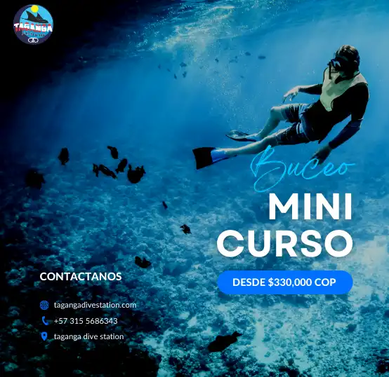 precio del mini curso de buceo en taganga