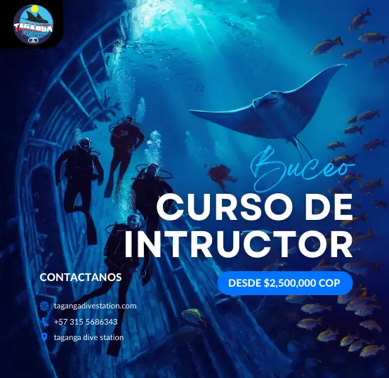 contenido del curso de de intructor de buceo