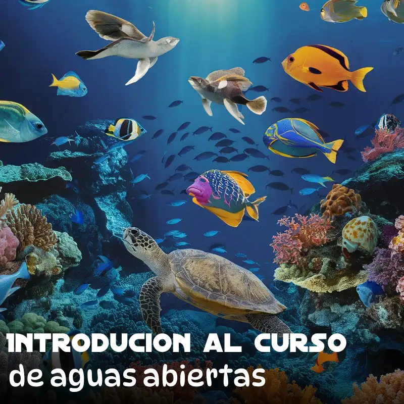 introducion al curso de aguas abiertas