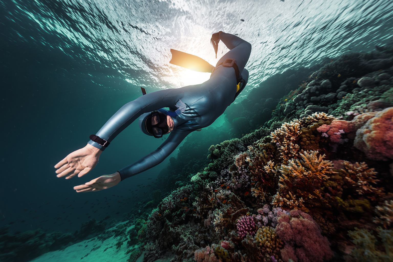 Curso de Apnea en Taganga