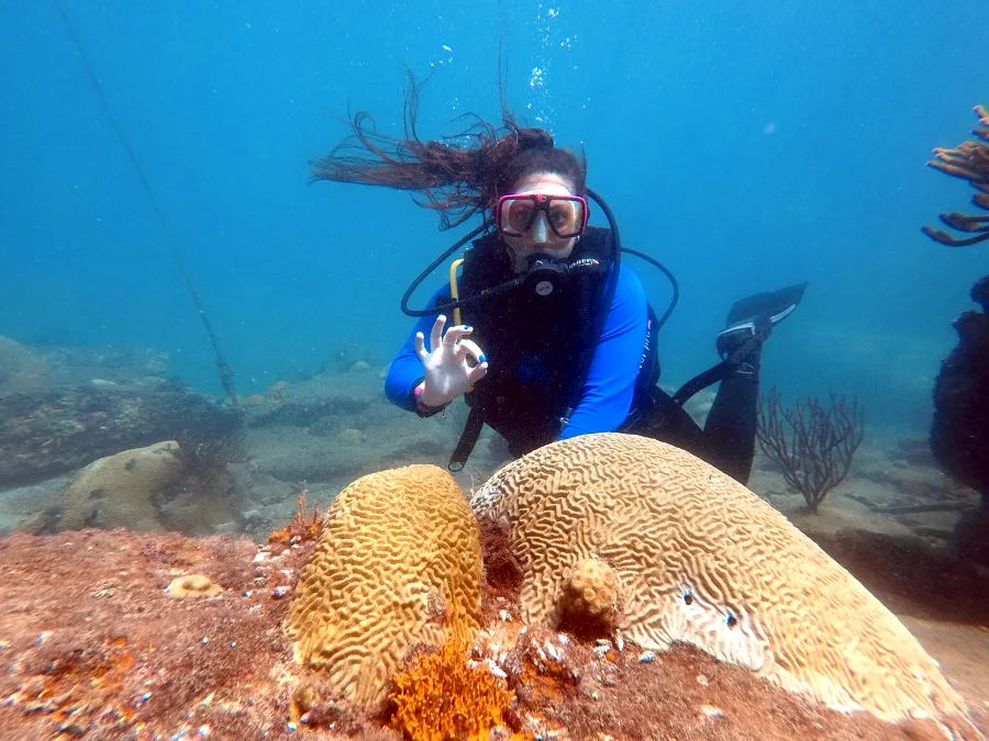 Buceadora hace la señal de OK sobre un coral cerebro