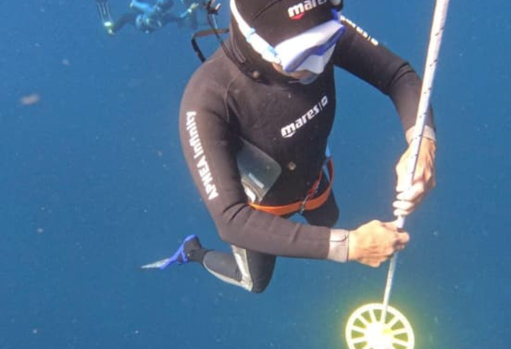 Imagen del curso de buceo libre en el parque tayrona