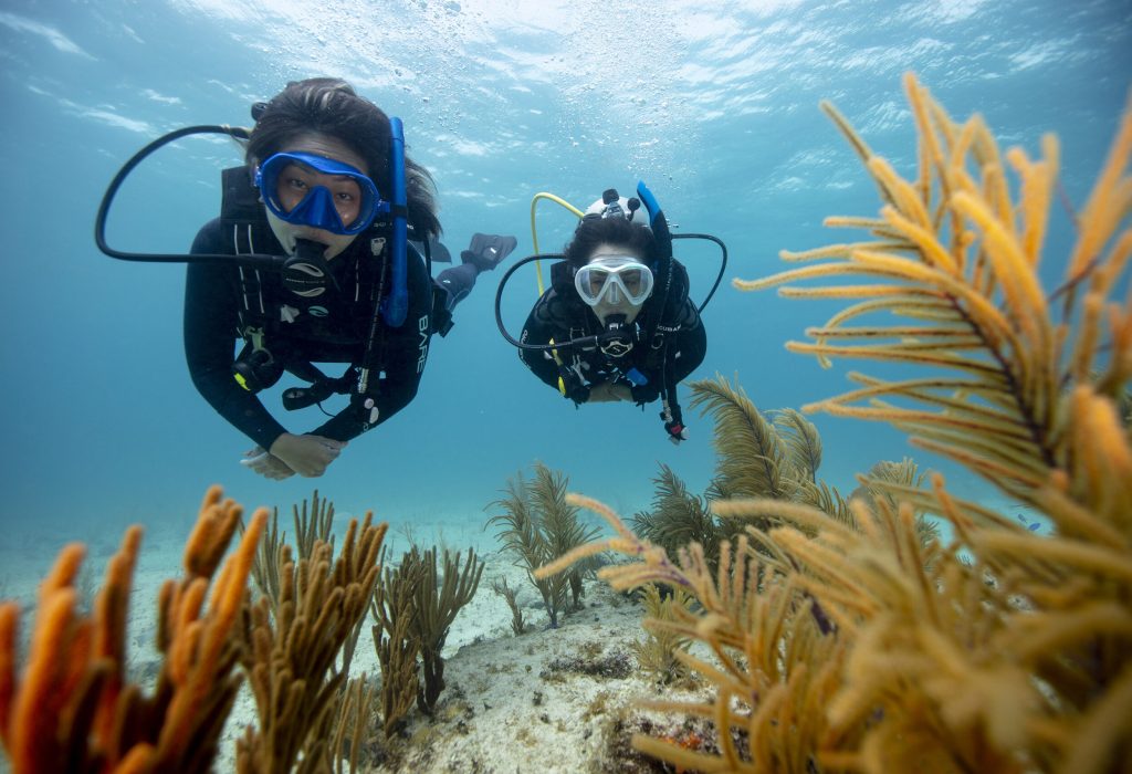 Minicurso de buceo en Taganga