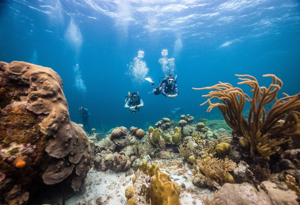 Minicurso de buceo en Taganga